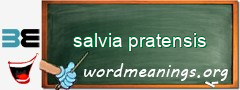 WordMeaning blackboard for salvia pratensis